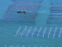 Fishermen drive various kinds of aquaculture boats in the coastal aquaculture zone in Lianyungang, China, on September 8, 2024. (