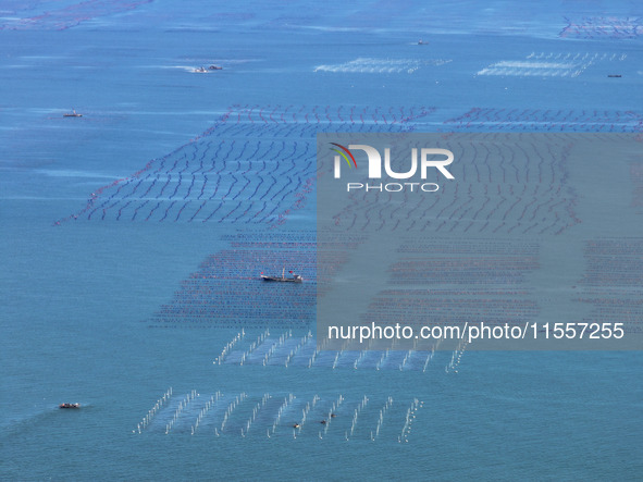 Fishermen drive various kinds of aquaculture boats in the coastal aquaculture zone in Lianyungang, China, on September 8, 2024. 