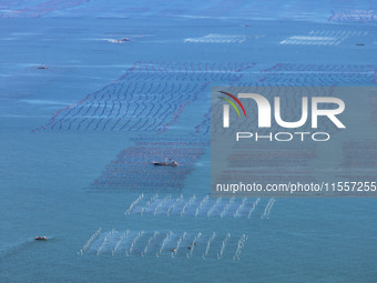 Fishermen drive various kinds of aquaculture boats in the coastal aquaculture zone in Lianyungang, China, on September 8, 2024. (