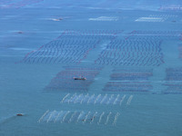 Fishermen drive various kinds of aquaculture boats in the coastal aquaculture zone in Lianyungang, China, on September 8, 2024. (