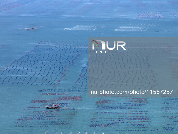 Fishermen drive various kinds of aquaculture boats in the coastal aquaculture zone in Lianyungang, China, on September 8, 2024. 