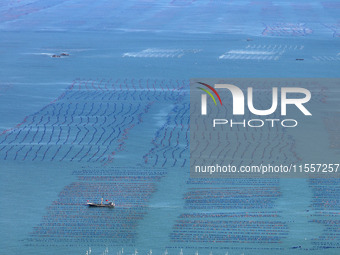 Fishermen drive various kinds of aquaculture boats in the coastal aquaculture zone in Lianyungang, China, on September 8, 2024. (