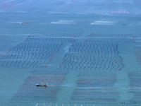 Fishermen drive various kinds of aquaculture boats in the coastal aquaculture zone in Lianyungang, China, on September 8, 2024. (