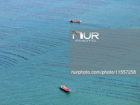 Fishermen drive various kinds of aquaculture boats in the coastal aquaculture zone in Lianyungang, China, on September 8, 2024. 