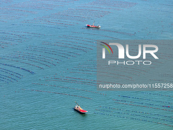 Fishermen drive various kinds of aquaculture boats in the coastal aquaculture zone in Lianyungang, China, on September 8, 2024. (