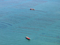 Fishermen drive various kinds of aquaculture boats in the coastal aquaculture zone in Lianyungang, China, on September 8, 2024. (