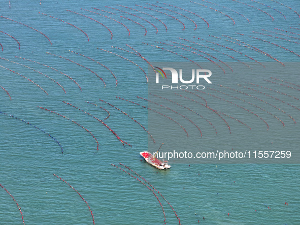 Fishermen drive various kinds of aquaculture boats in the coastal aquaculture zone in Lianyungang, China, on September 8, 2024. 