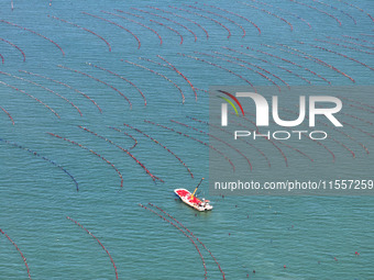 Fishermen drive various kinds of aquaculture boats in the coastal aquaculture zone in Lianyungang, China, on September 8, 2024. (