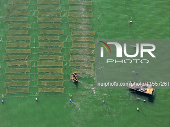 Fishermen drive various kinds of aquaculture boats in the coastal aquaculture zone in Lianyungang, China, on September 8, 2024. (