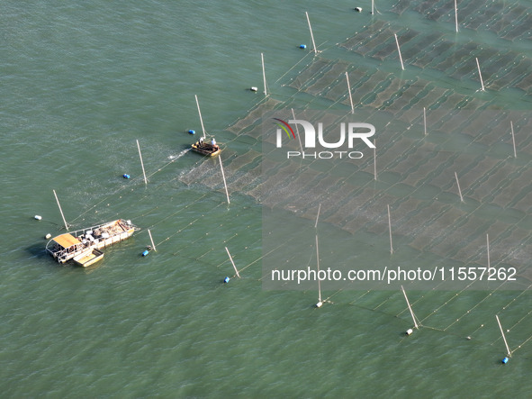 Fishermen drive various kinds of aquaculture boats in the coastal aquaculture zone in Lianyungang, China, on September 8, 2024. 