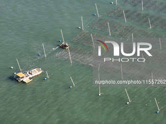 Fishermen drive various kinds of aquaculture boats in the coastal aquaculture zone in Lianyungang, China, on September 8, 2024. (