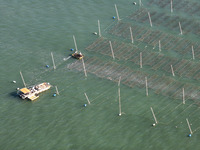 Fishermen drive various kinds of aquaculture boats in the coastal aquaculture zone in Lianyungang, China, on September 8, 2024. (