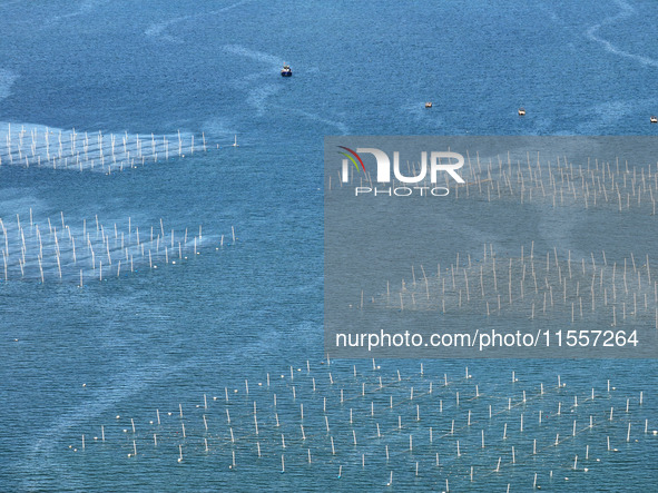 Fishermen drive various kinds of aquaculture boats in the coastal aquaculture zone in Lianyungang, China, on September 8, 2024. 