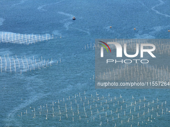 Fishermen drive various kinds of aquaculture boats in the coastal aquaculture zone in Lianyungang, China, on September 8, 2024. (