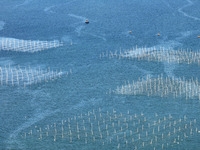 Fishermen drive various kinds of aquaculture boats in the coastal aquaculture zone in Lianyungang, China, on September 8, 2024. (