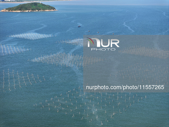 Fishermen drive various kinds of aquaculture boats in the coastal aquaculture zone in Lianyungang, China, on September 8, 2024. 