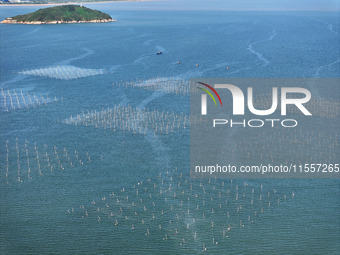 Fishermen drive various kinds of aquaculture boats in the coastal aquaculture zone in Lianyungang, China, on September 8, 2024. (