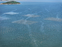 Fishermen drive various kinds of aquaculture boats in the coastal aquaculture zone in Lianyungang, China, on September 8, 2024. (