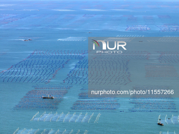 Fishermen drive various kinds of aquaculture boats in the coastal aquaculture zone in Lianyungang, China, on September 8, 2024. 