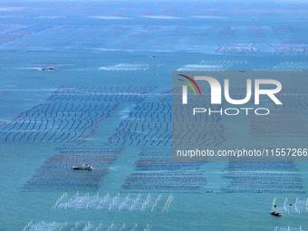 Fishermen drive various kinds of aquaculture boats in the coastal aquaculture zone in Lianyungang, China, on September 8, 2024. (