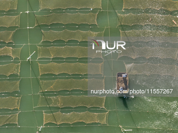 Fishermen drive various kinds of aquaculture boats in the coastal aquaculture zone in Lianyungang, China, on September 8, 2024. 