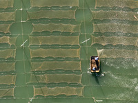 Fishermen drive various kinds of aquaculture boats in the coastal aquaculture zone in Lianyungang, China, on September 8, 2024. (