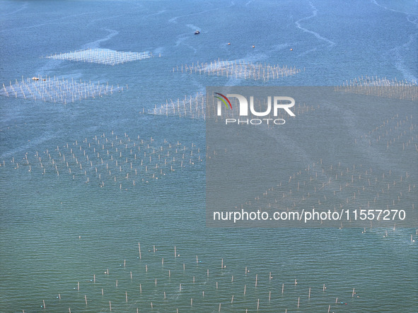 Fishermen drive various kinds of aquaculture boats in the coastal aquaculture zone in Lianyungang, China, on September 8, 2024. 