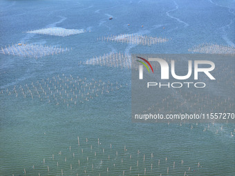 Fishermen drive various kinds of aquaculture boats in the coastal aquaculture zone in Lianyungang, China, on September 8, 2024. (