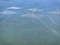 Fishermen drive various kinds of aquaculture boats in the coastal aquaculture zone in Lianyungang, China, on September 8, 2024. (