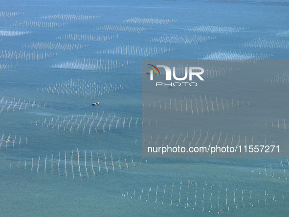 Fishermen drive various kinds of aquaculture boats in the coastal aquaculture zone in Lianyungang, China, on September 8, 2024. 