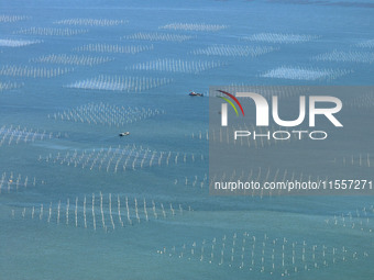 Fishermen drive various kinds of aquaculture boats in the coastal aquaculture zone in Lianyungang, China, on September 8, 2024. (