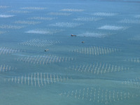 Fishermen drive various kinds of aquaculture boats in the coastal aquaculture zone in Lianyungang, China, on September 8, 2024. (