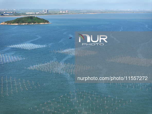 Fishermen drive various kinds of aquaculture boats in the coastal aquaculture zone in Lianyungang, China, on September 8, 2024. 