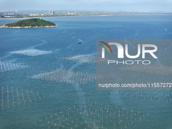 Fishermen drive various kinds of aquaculture boats in the coastal aquaculture zone in Lianyungang, China, on September 8, 2024. (