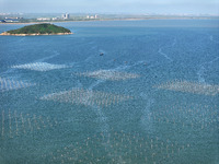 Fishermen drive various kinds of aquaculture boats in the coastal aquaculture zone in Lianyungang, China, on September 8, 2024. (