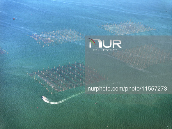 Fishermen drive various kinds of aquaculture boats in the coastal aquaculture zone in Lianyungang, China, on September 8, 2024. 