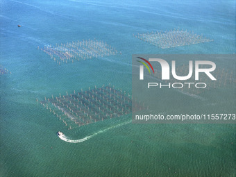 Fishermen drive various kinds of aquaculture boats in the coastal aquaculture zone in Lianyungang, China, on September 8, 2024. (