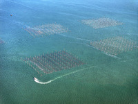 Fishermen drive various kinds of aquaculture boats in the coastal aquaculture zone in Lianyungang, China, on September 8, 2024. (