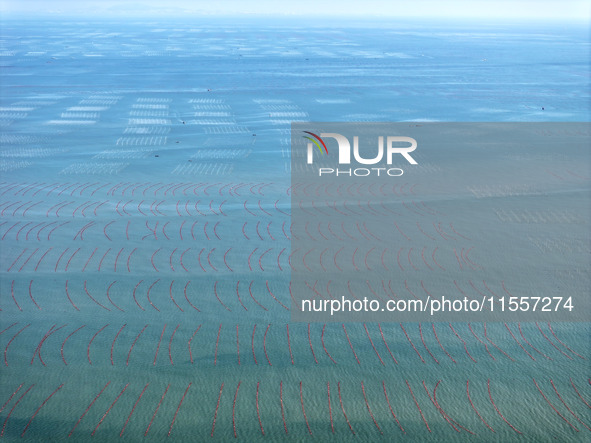 Fishermen drive various kinds of aquaculture boats in the coastal aquaculture zone in Lianyungang, China, on September 8, 2024. 