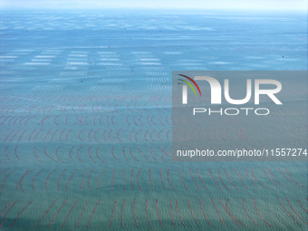 Fishermen drive various kinds of aquaculture boats in the coastal aquaculture zone in Lianyungang, China, on September 8, 2024. (