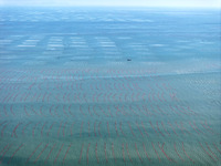 Fishermen drive various kinds of aquaculture boats in the coastal aquaculture zone in Lianyungang, China, on September 8, 2024. (