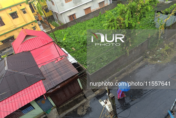 An Indian woman uses an umbrella during a rainfall in Siliguri, India, on September 8, 2024. 