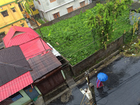 An Indian woman uses an umbrella during a rainfall in Siliguri, India, on September 8, 2024. (