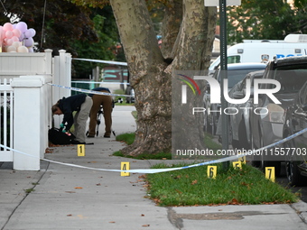 Crime scene investigators place evidence markers at the scene where three people are shot at 132-45 220th Street in Queens, New York, United...