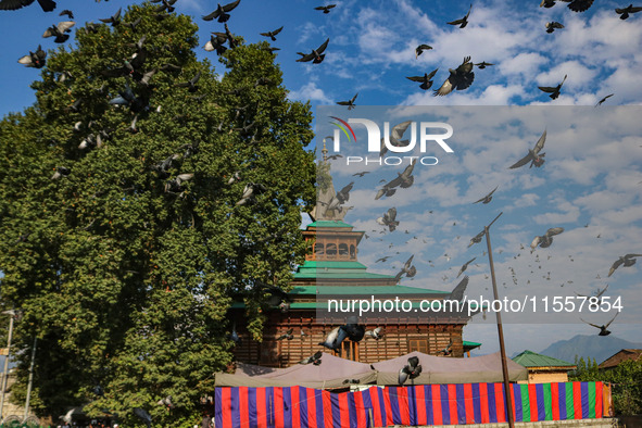 Pigeons fly past the shrine of Sufi Saint Khawaja Naqashband Sahib in Srinagar, Jammu and Kashmir, on September 8, 2024. 