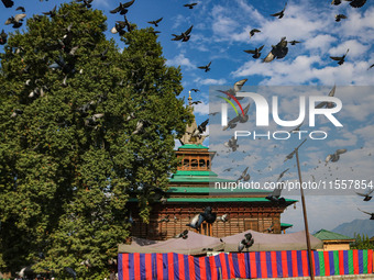 Pigeons fly past the shrine of Sufi Saint Khawaja Naqashband Sahib in Srinagar, Jammu and Kashmir, on September 8, 2024. (