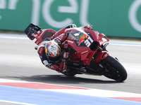 Pedro Acosta of Spain and Red Bull GASGAS Tech3 rides on track during the Race of MotoGP of San Marino at Misano World Circuit in Misano Adr...