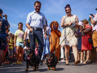 The 26th Dachshund March in Krakow, Poland on September 8th, 2024. After a few years break an annual parade  returned to the city with hundr...