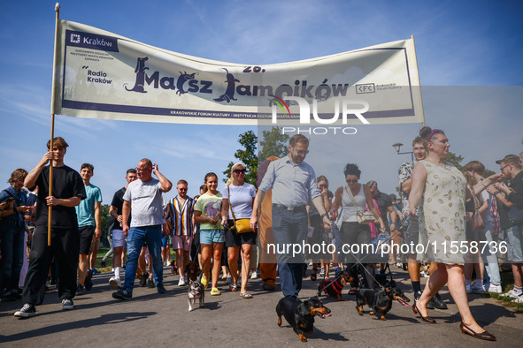 The 26th Dachshund March in Krakow, Poland on September 8th, 2024. After a few years break an annual parade  returned to the city with hundr...