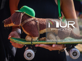 The 26th Dachshund March in Krakow, Poland on September 8th, 2024. After a few years break an annual parade  returned to the city with hundr...